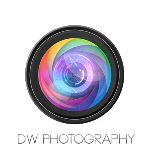 Logo Design by taz for iLeads.com | Design: #3067047