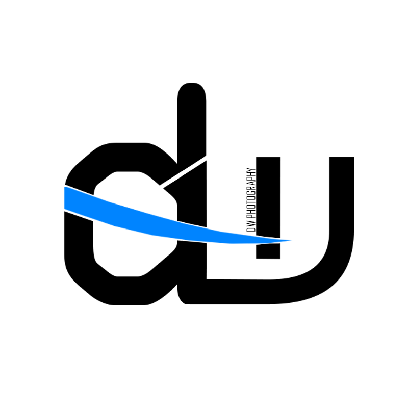 Logo Design by taz for iLeads.com | Design #3067211