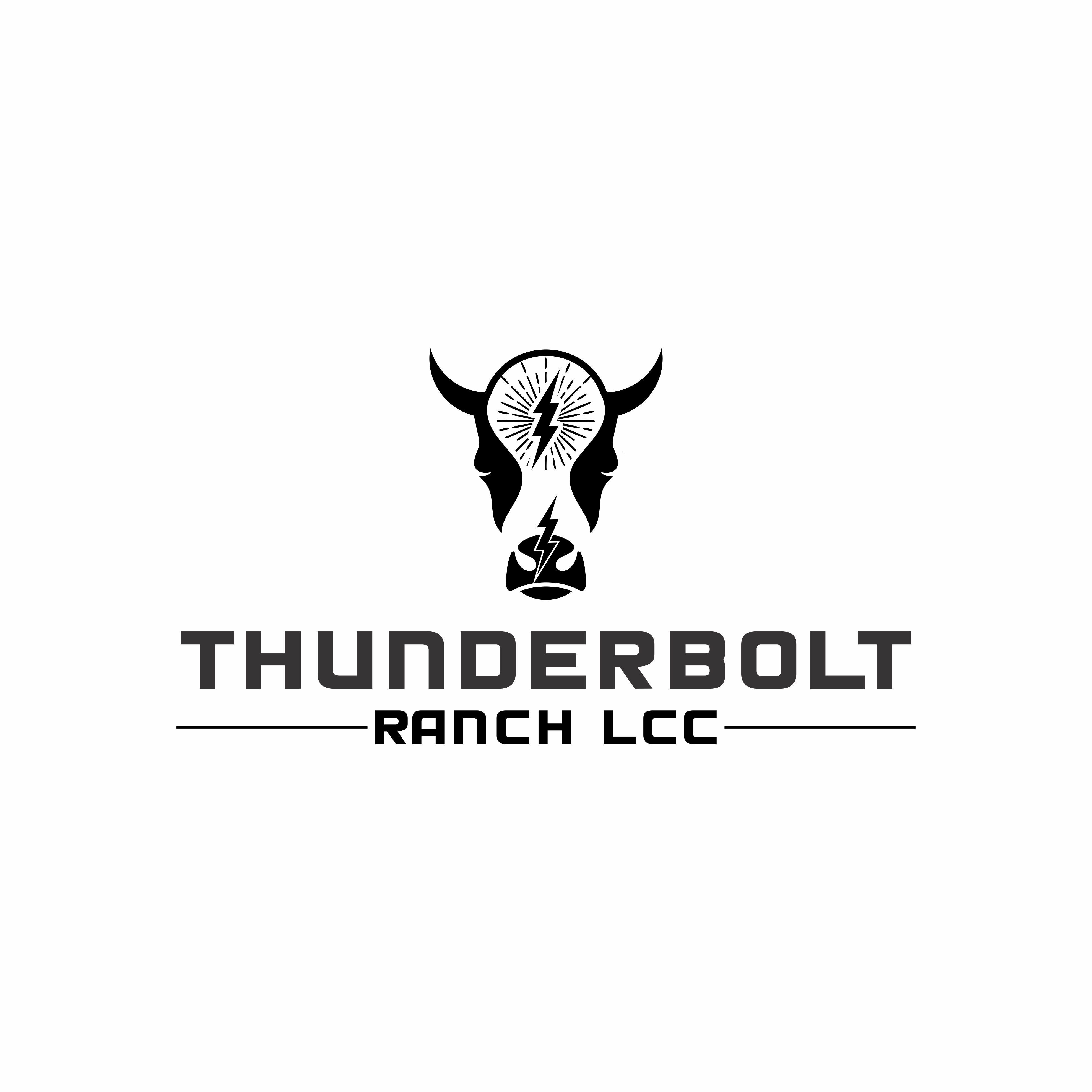 Logo Design by Excellar Hub for M2 Cattle LLC | Design #28211043