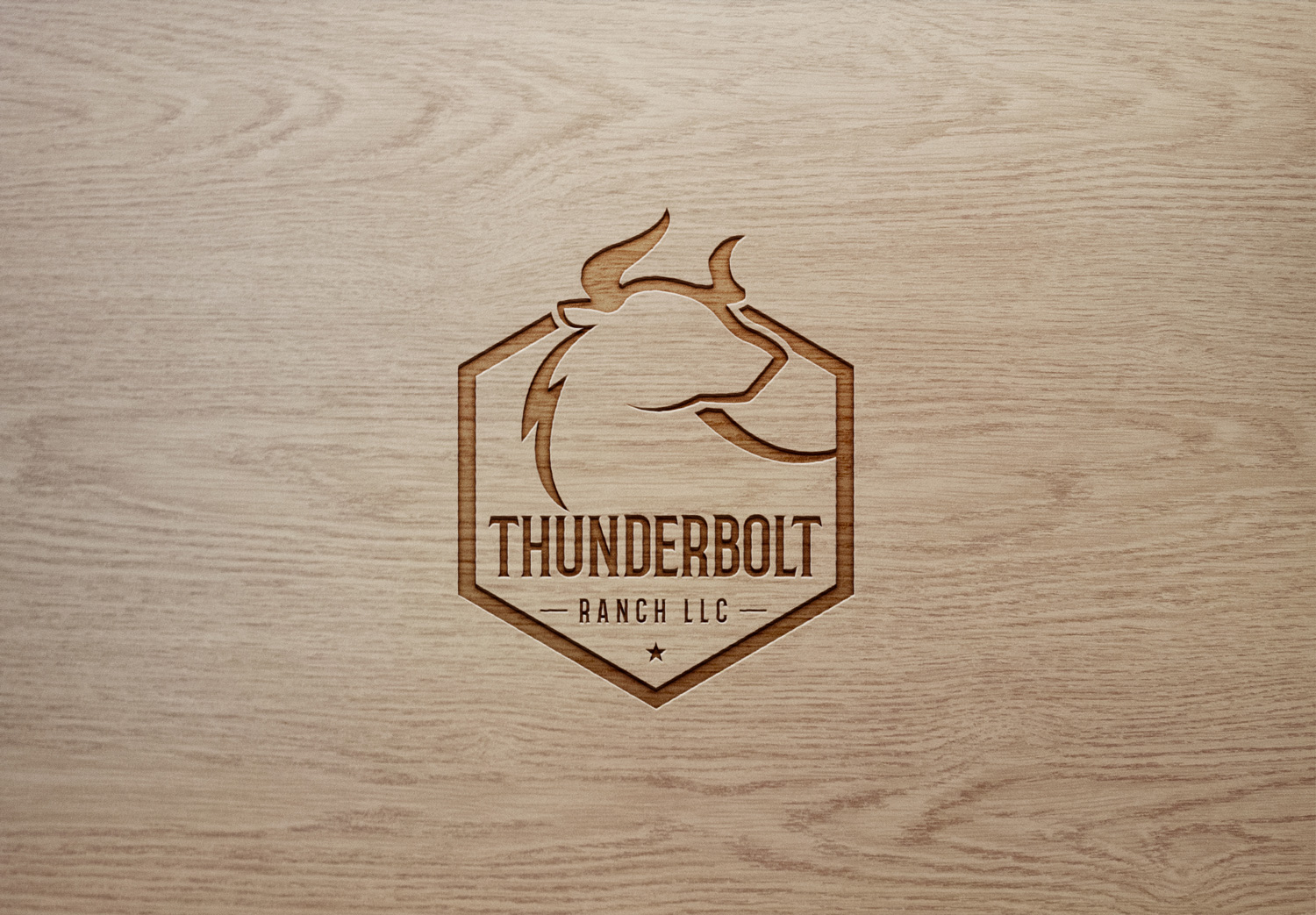 Logo Design by Pixelon Studio for M2 Cattle LLC | Design #28217790