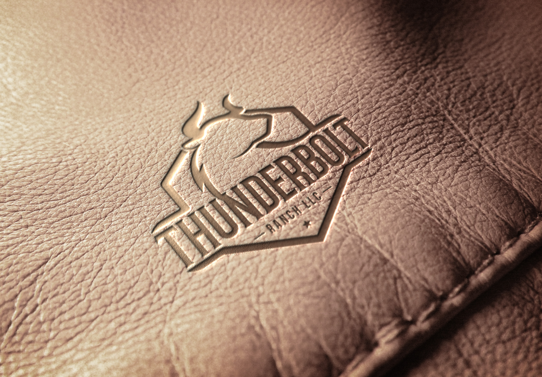 Logo Design by Pixelon Studio for M2 Cattle LLC | Design #28229589