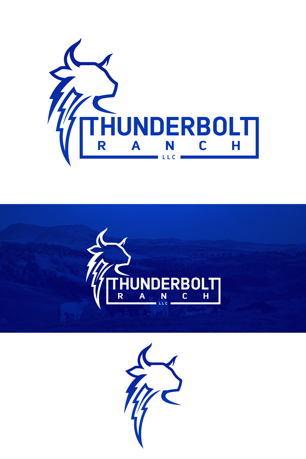 Logo-Design von D.an für M2 Cattle LLC | Design #28227269