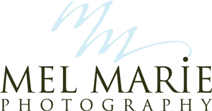 Logo Design by RENEE GRAY DESIGN STUDIO