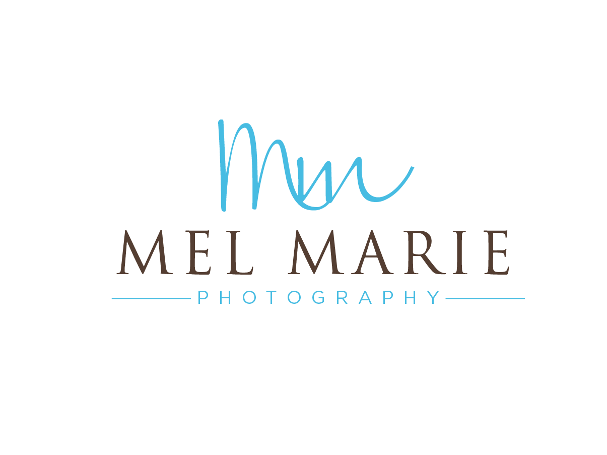 Logo Design by Cherry Pop Design for Mel Marie Photography | Design #66479