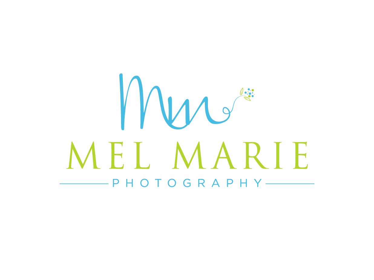 Logo Design by Cherry Pop Design for Mel Marie Photography | Design #68091