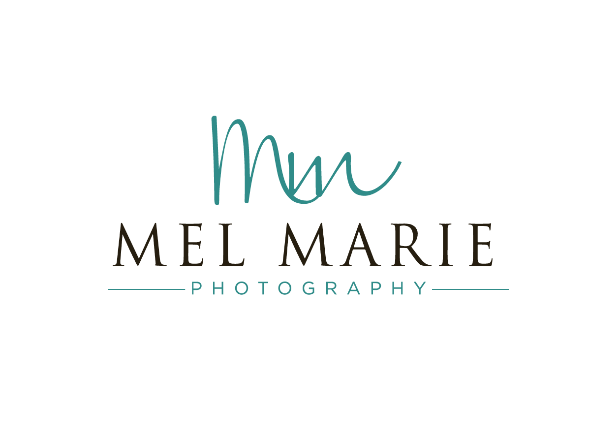 Logo Design by Cherry Pop Design for Mel Marie Photography | Design #68129