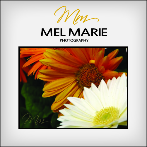 Design de Logo par Stellar Designs pour Mel Marie Photography | Design #67085