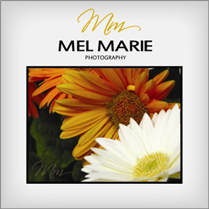 Logo Design by Stellar Designs for Mel Marie Photography | Design: #67085