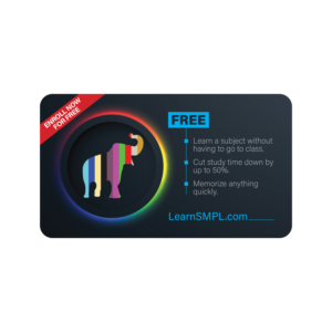 Business Card Design by Murmu Designs