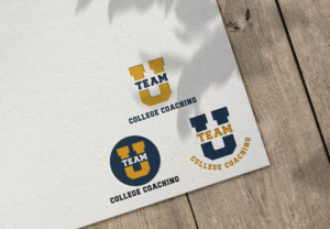 Logo Design by ILLUSTRATOR PRO for this project | Design: #28245212