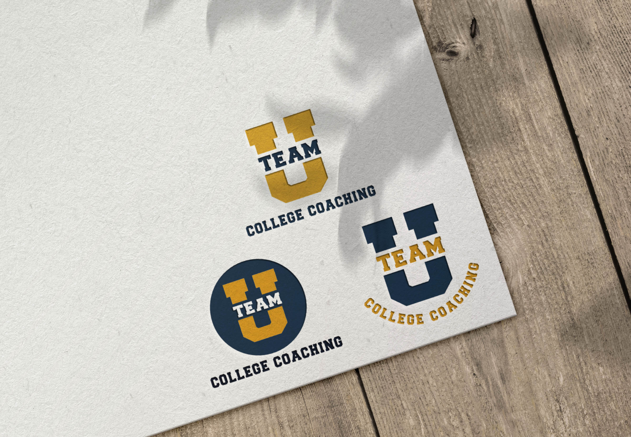 Logo Design by ILLUSTRATOR PRO for this project | Design #28245213
