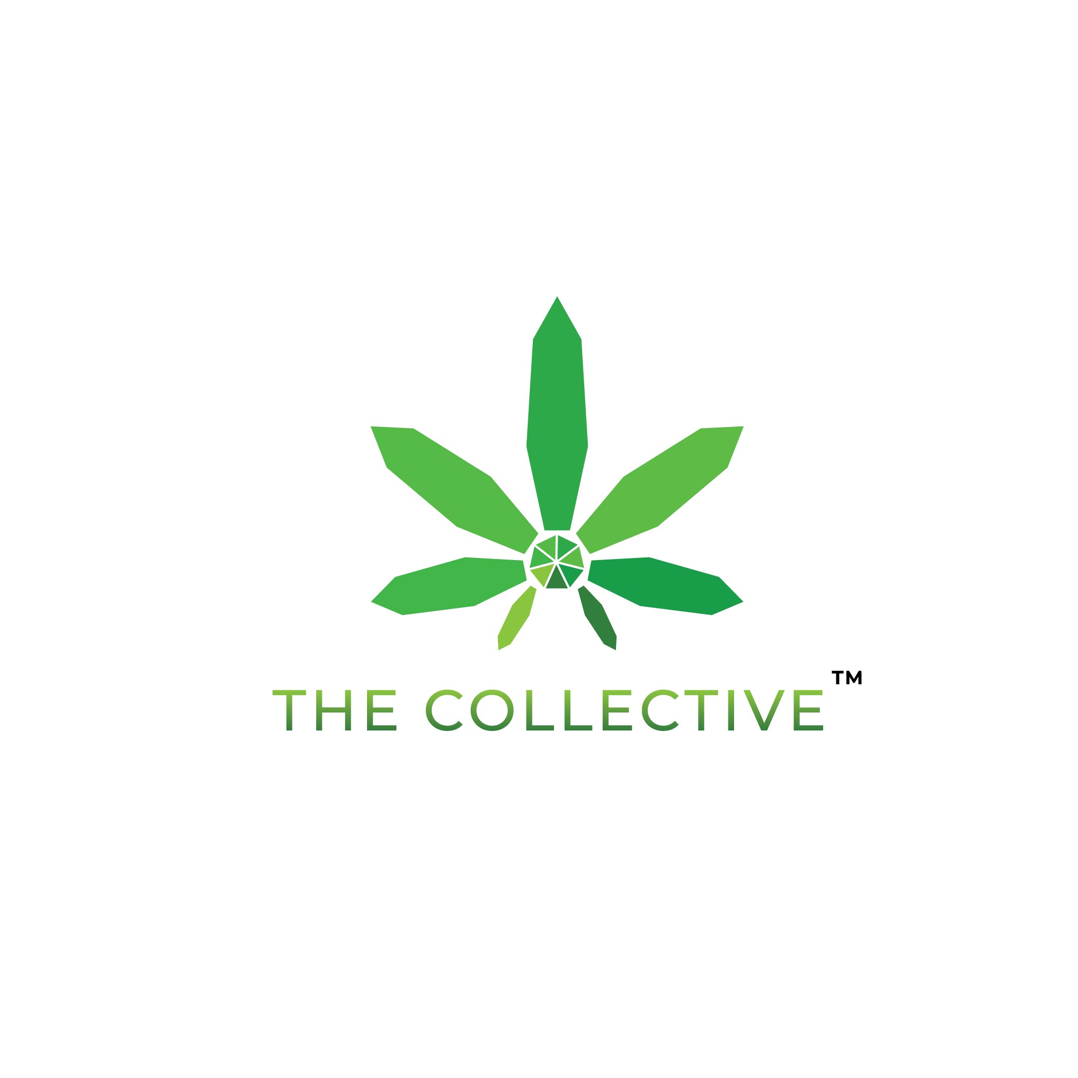 Diseño de Logo por ILLUSTRATOR PRO para este proyecto | Diseño #28280171
