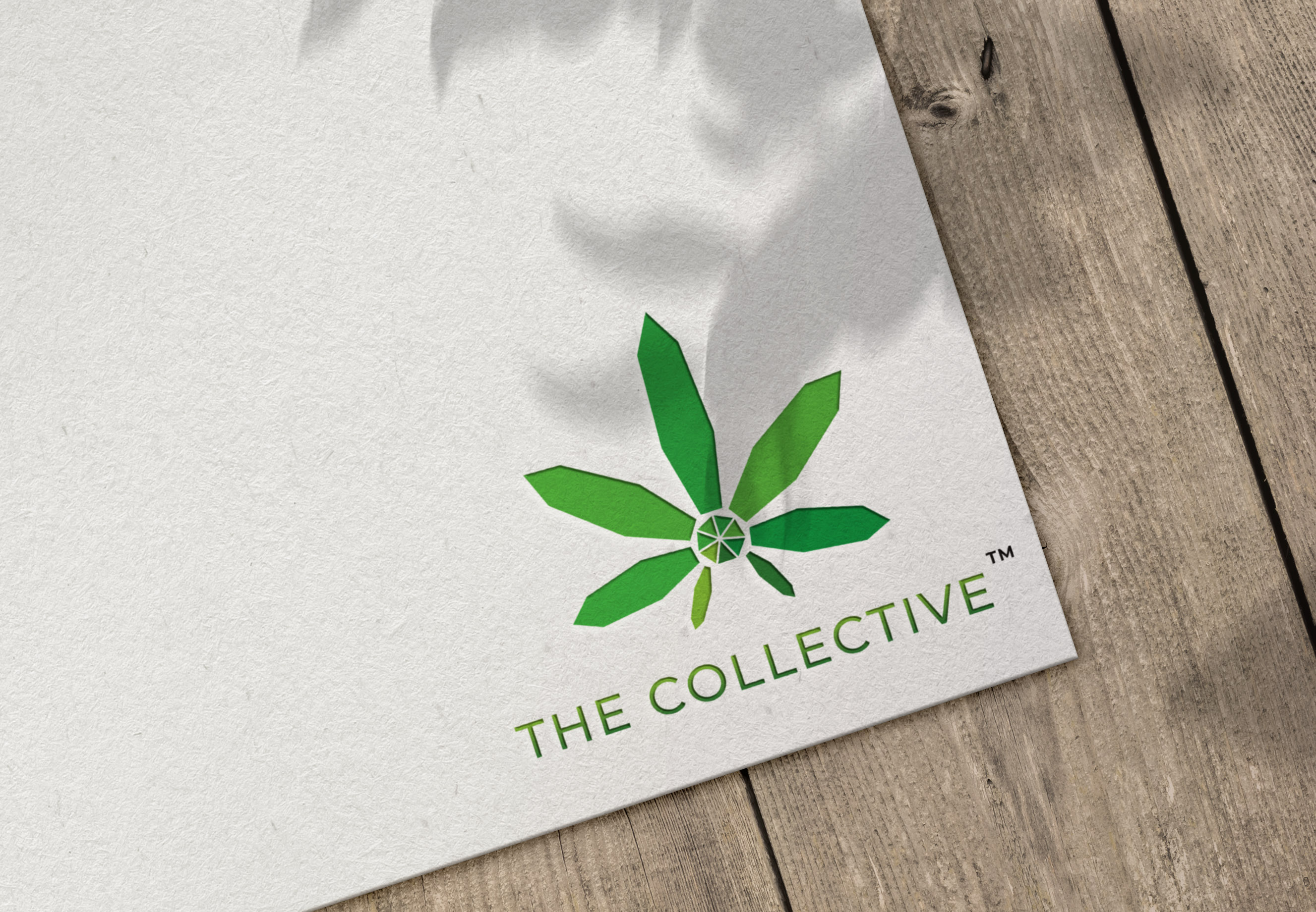 Diseño de Logo por ILLUSTRATOR PRO para este proyecto | Diseño #28280173