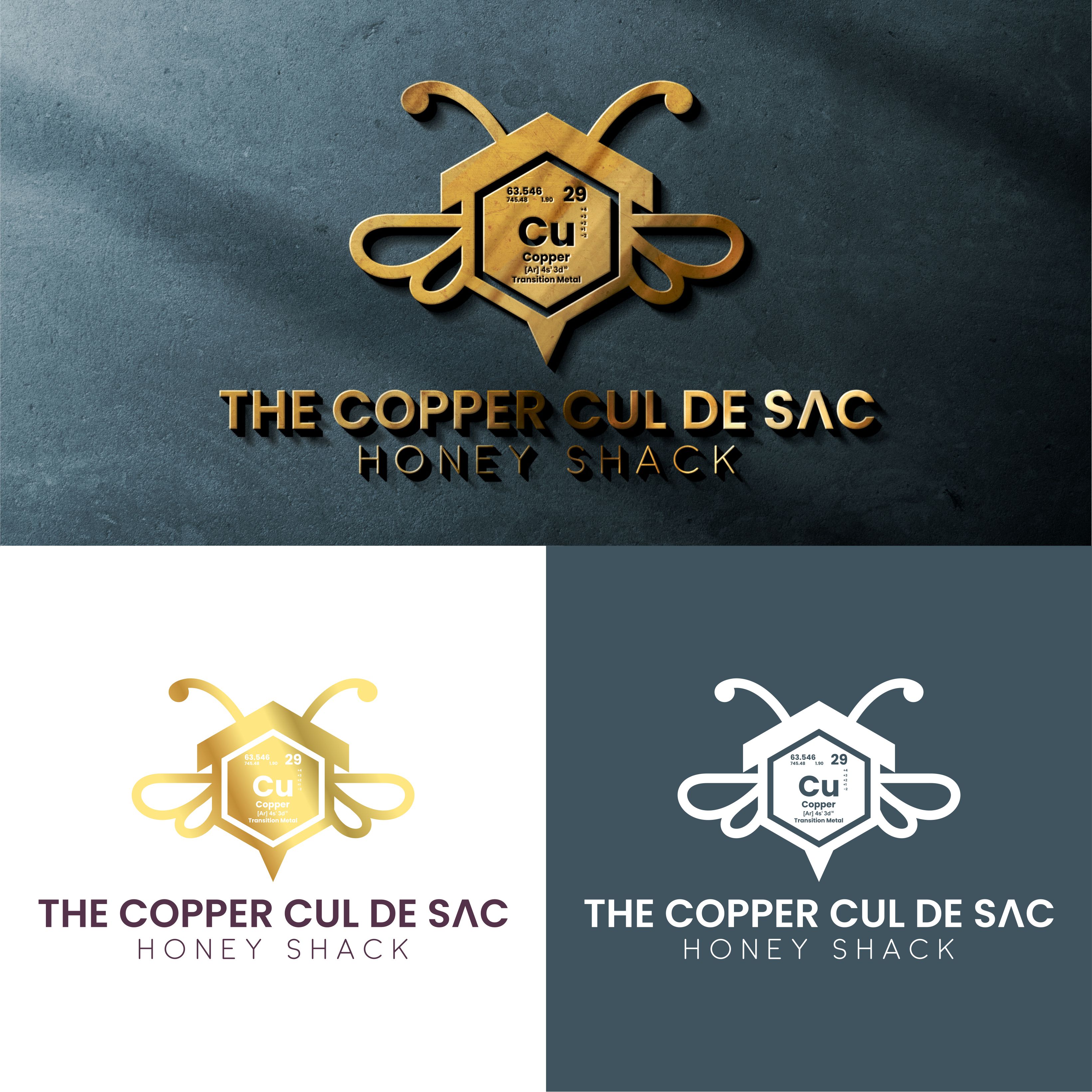 Design de Logo par Teguhedc pour ce projet | Design #28425226