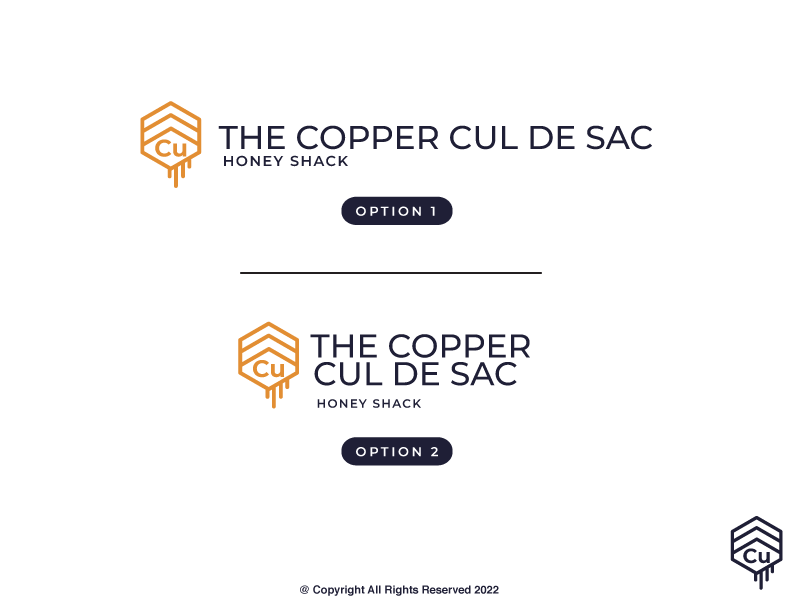 Logo Design by Ash  for this project | Design #28386027