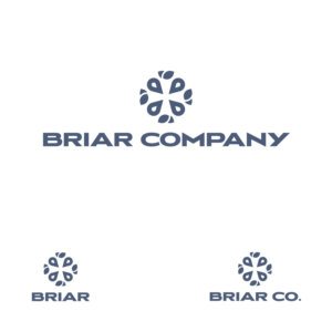 Logo Design by Zivius
