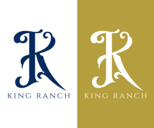 Logo Design by viraj1676