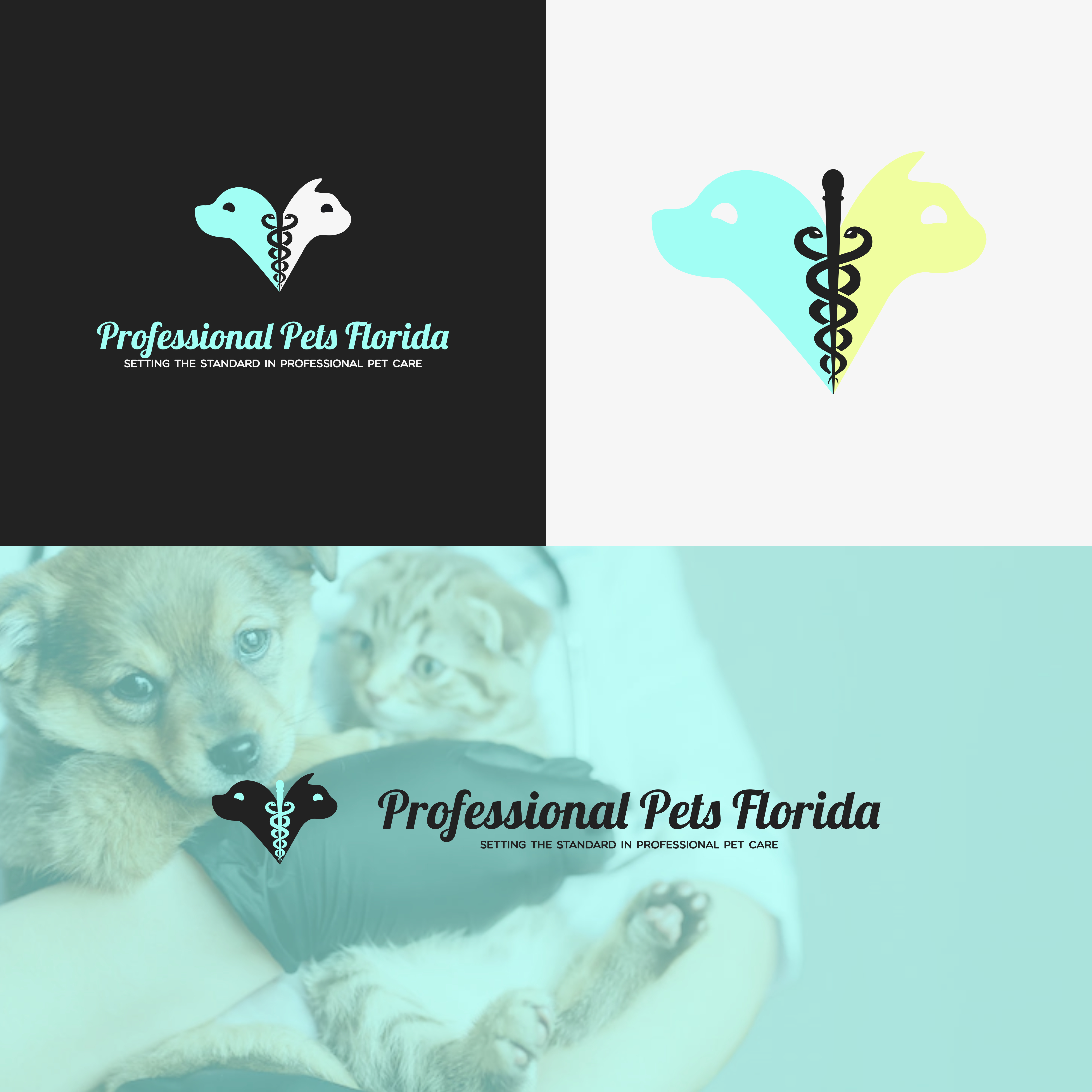 Logo-Design von Adilia Romadina für dieses Projekt | Design #28277142