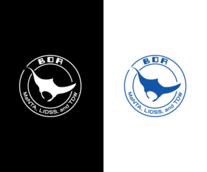 Logo Design by Kavth for RAVEN DEFENSE CORP | Design: #28301205