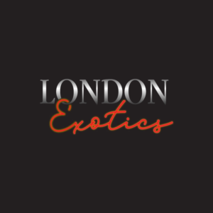 Logo Design by Ansh Design for this project | Design: #28274895