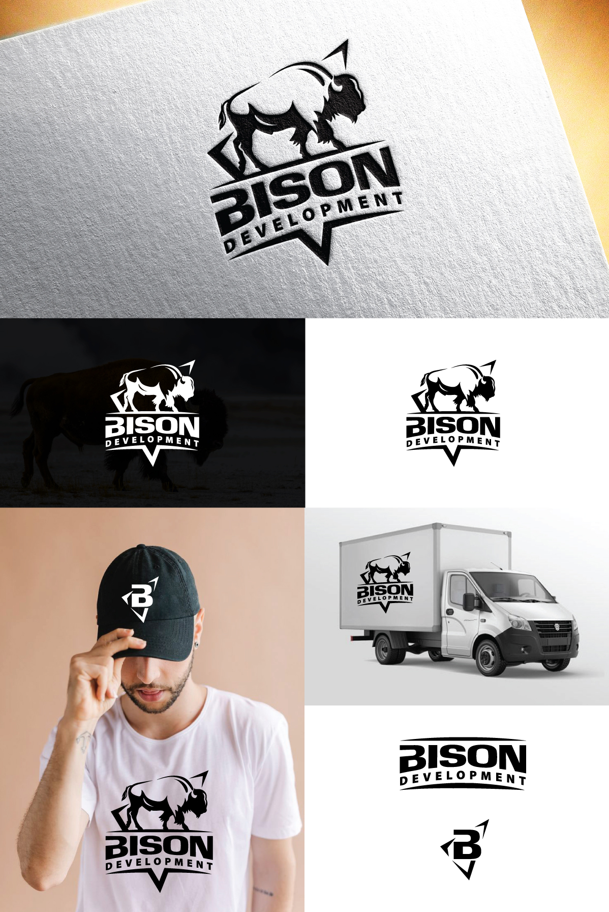 Logo Design by Logo Stock for Bison Development Company | Design #28270863