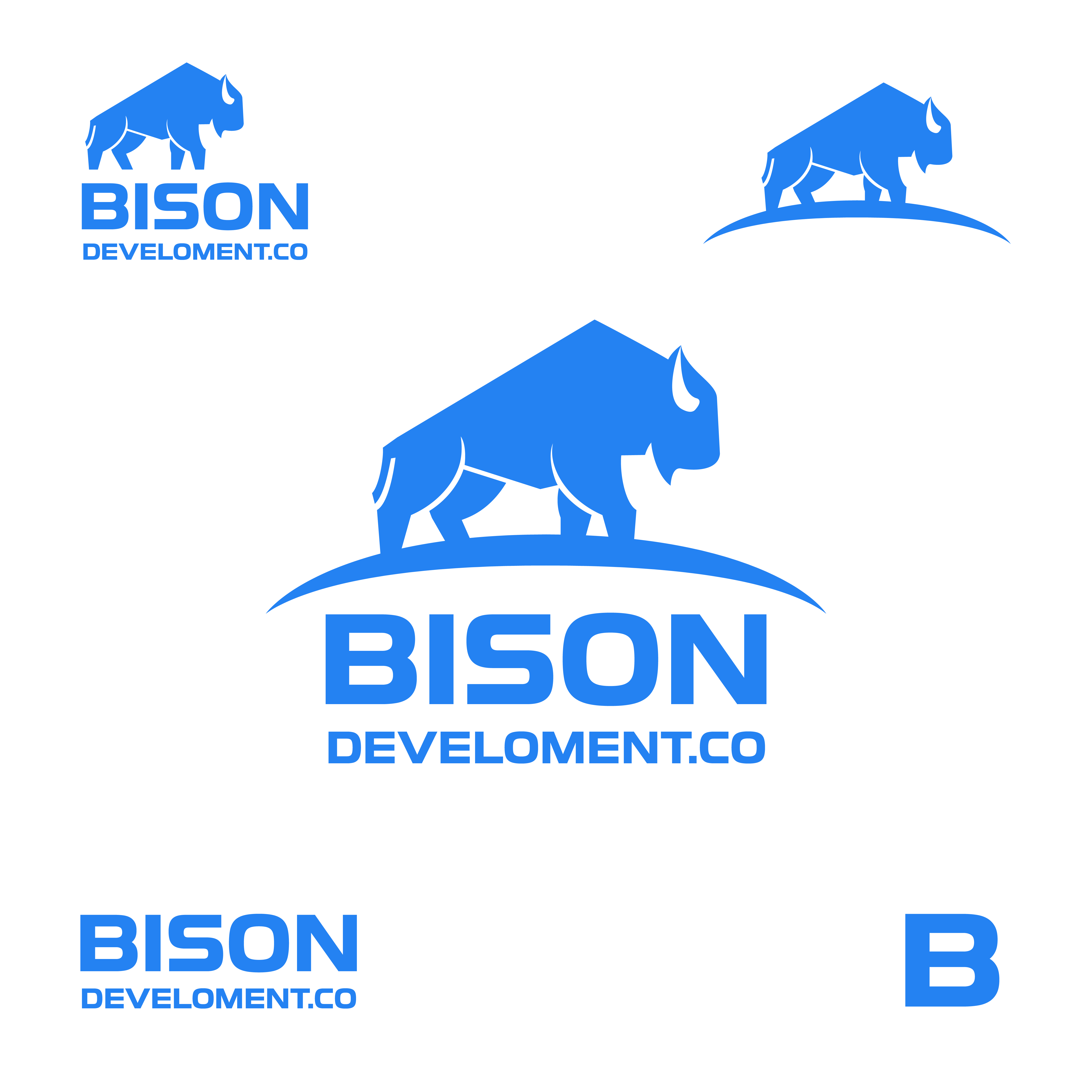 Logo Design by yolilo design for Bison Development Company | Design #28282775