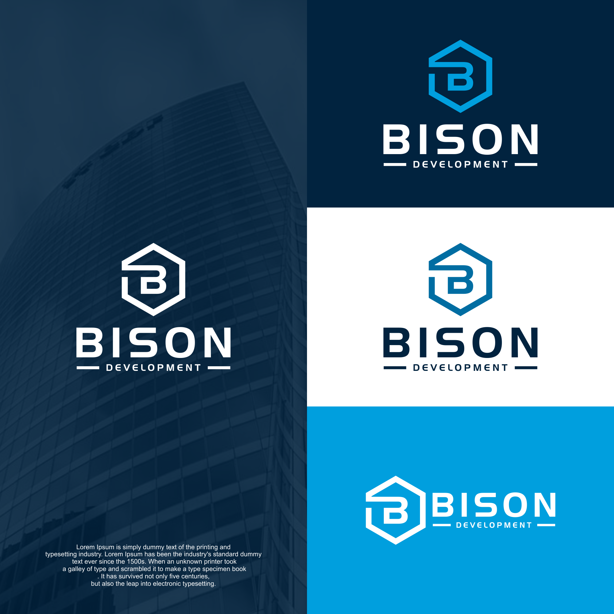 Logo Design by mOuntase for Bison Development Company | Design #28269560