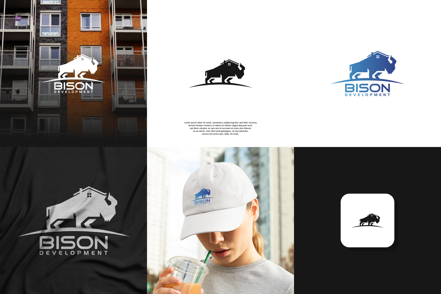 Logo Design by Genzoo for Bison Development Company | Design #28282551