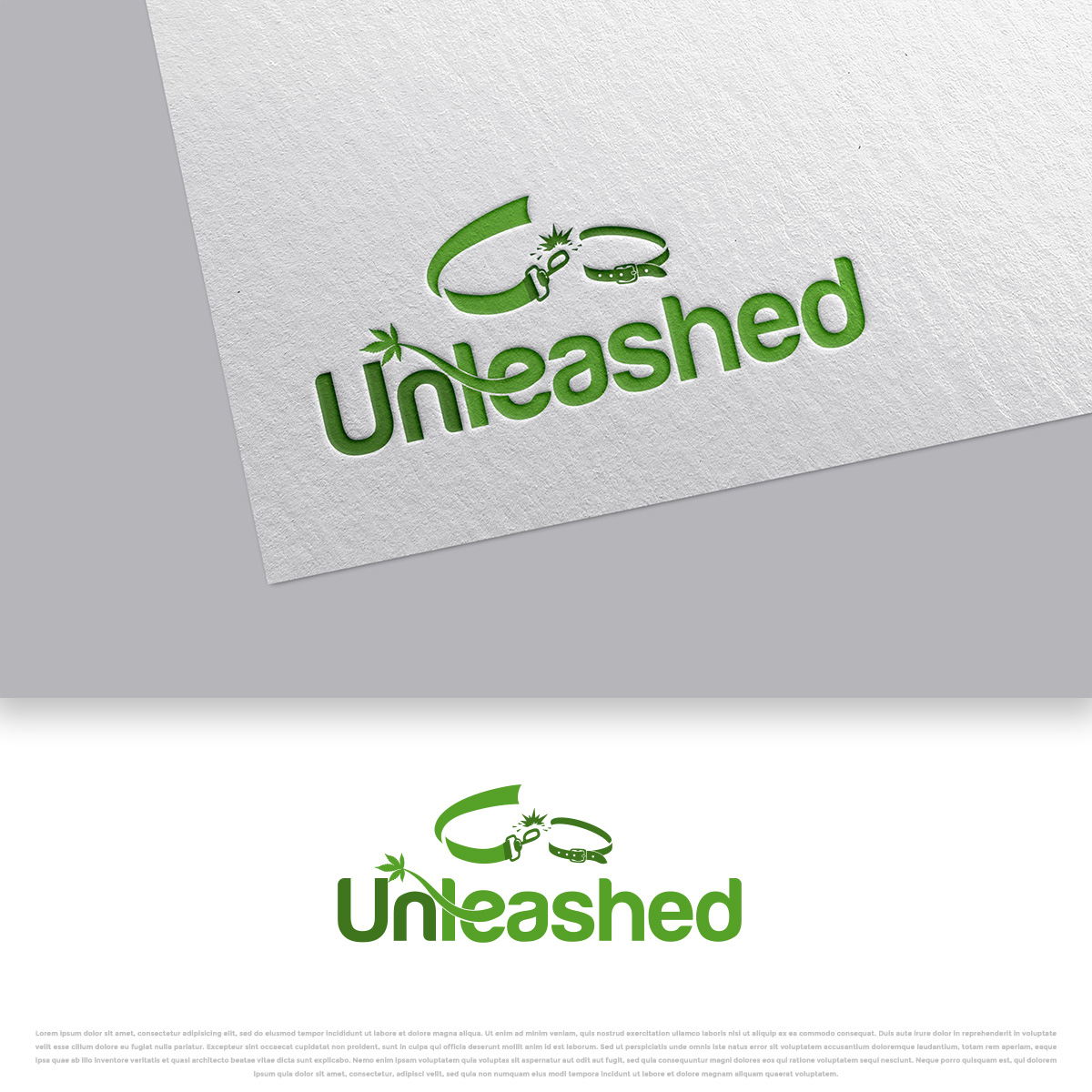 Logo Design by DesignDUO for Dakenix Pty Ltd | Design #28283917