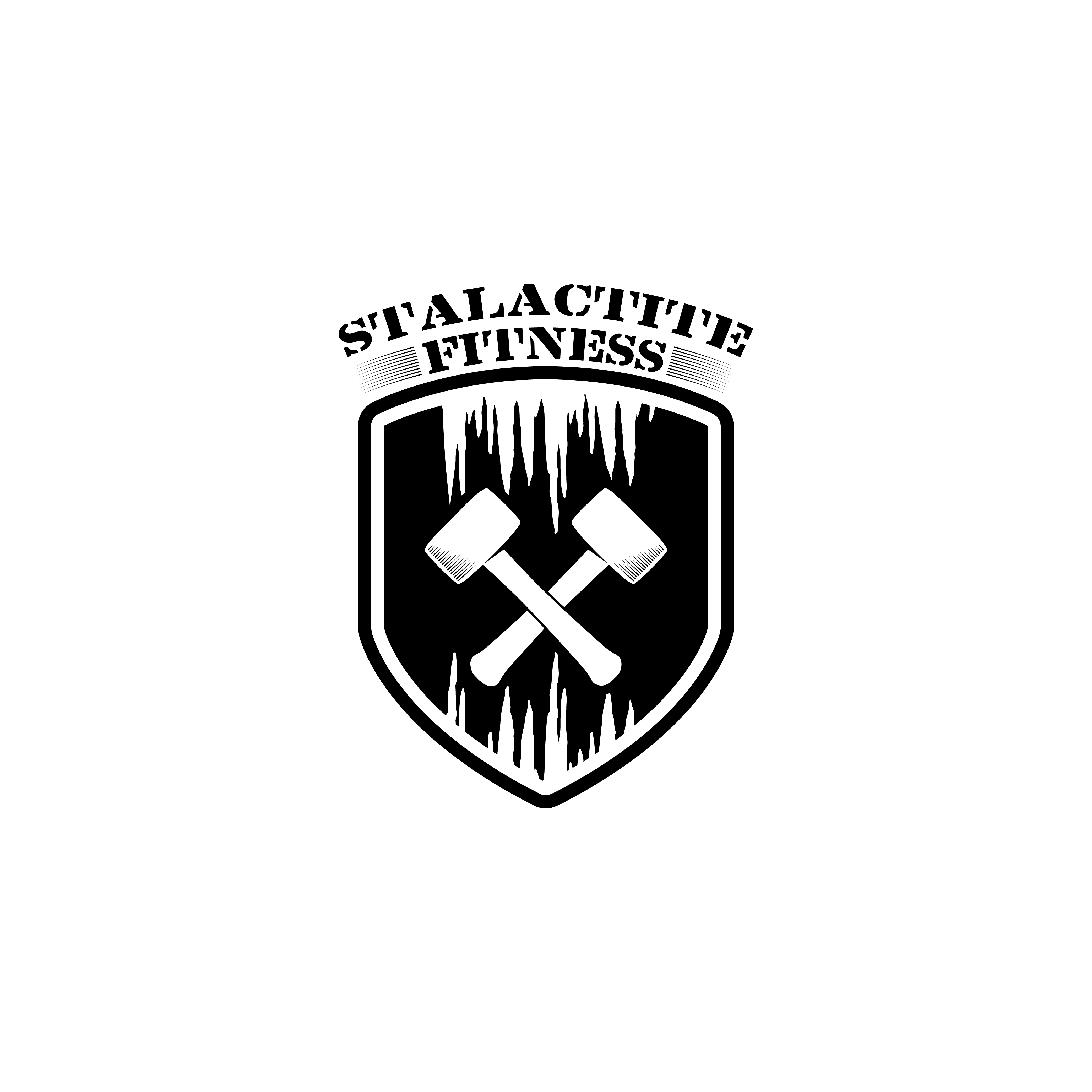 Logo Design by SF Creative for StoneWater Training LLC | Design #28271472