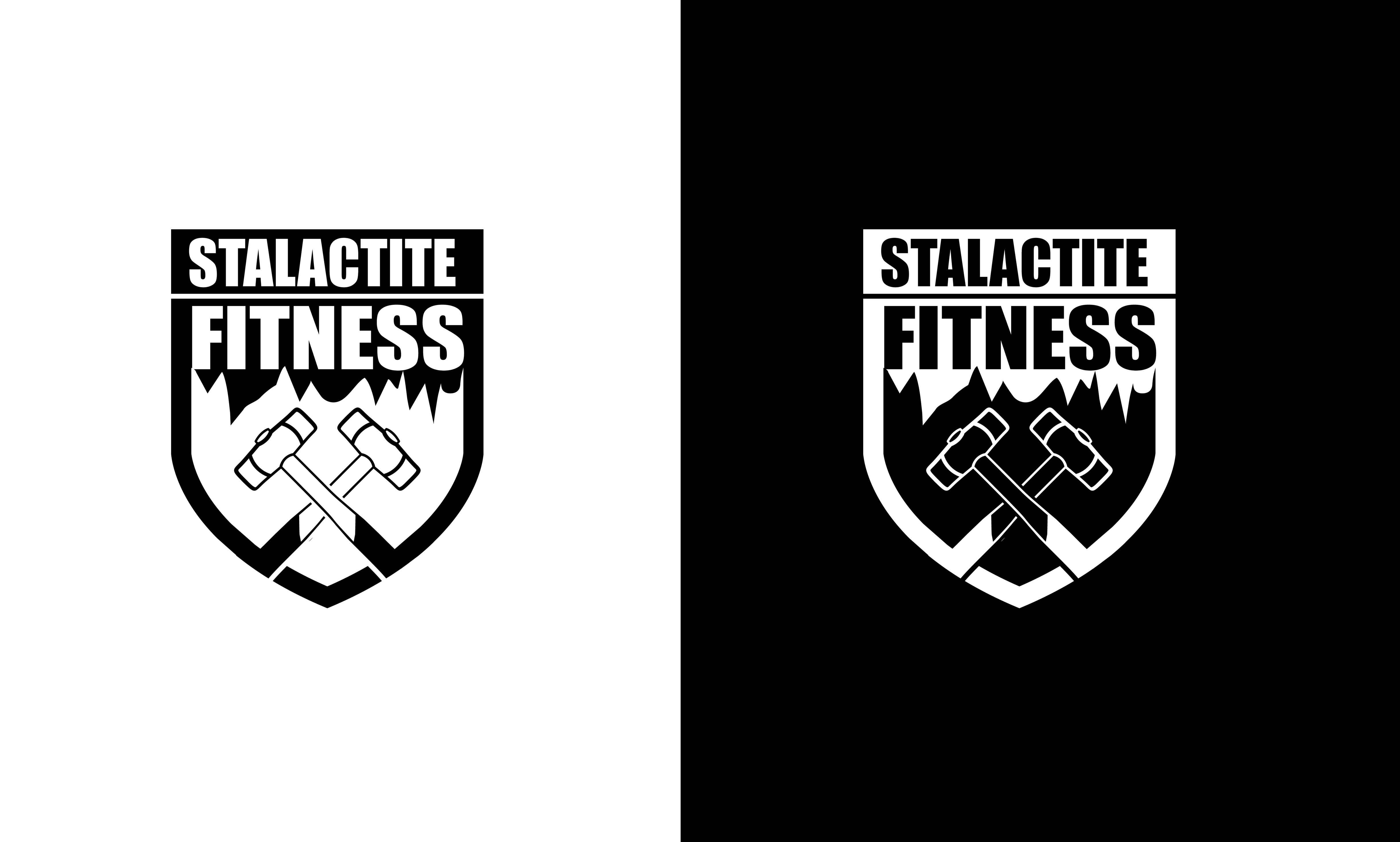 Logo Design by creativepoint for StoneWater Training LLC | Design #28272406