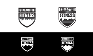 Logo Design by creativepoint for StoneWater Training LLC | Design: #28273329
