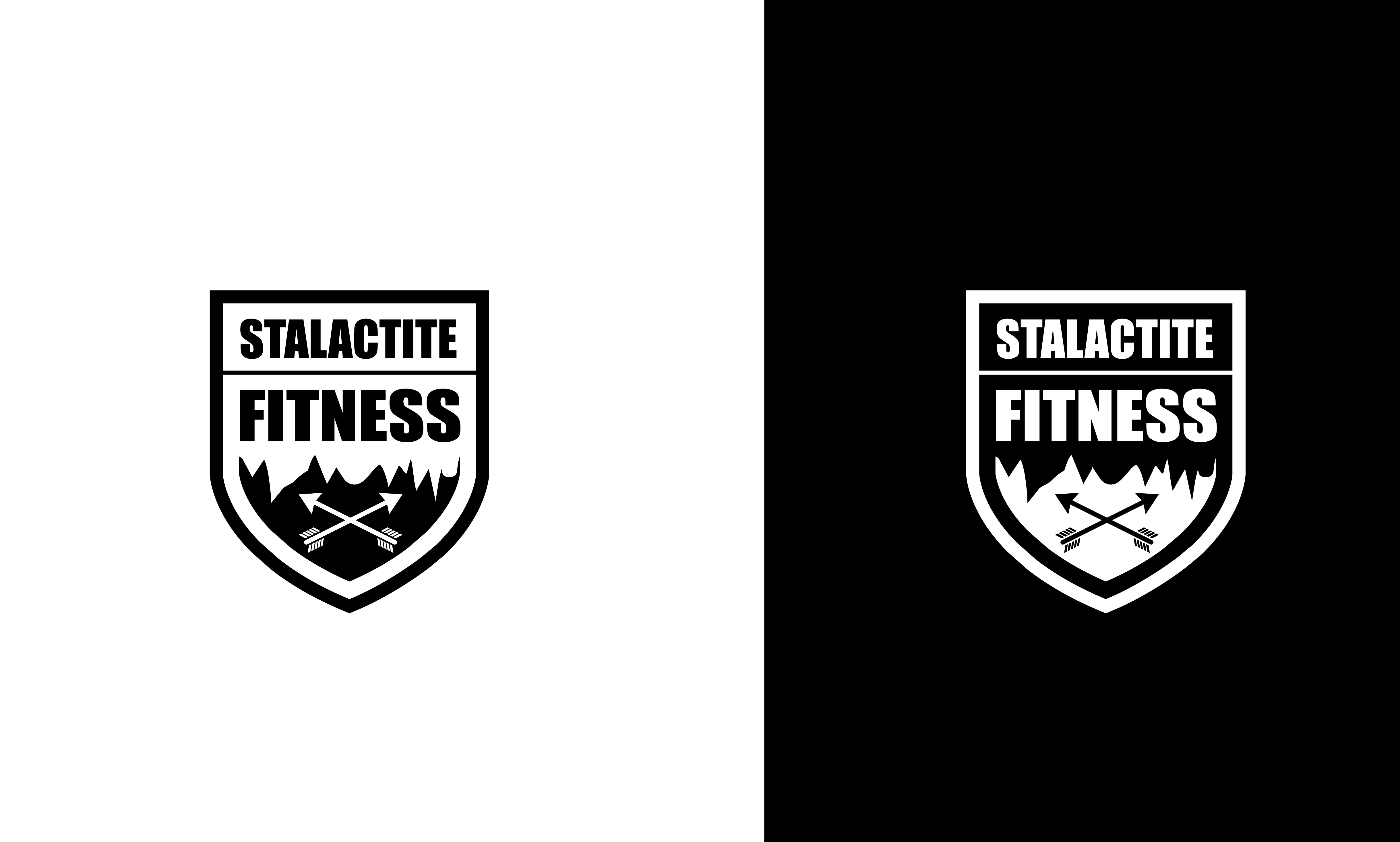 Logo Design by creativepoint for StoneWater Training LLC | Design #28273418