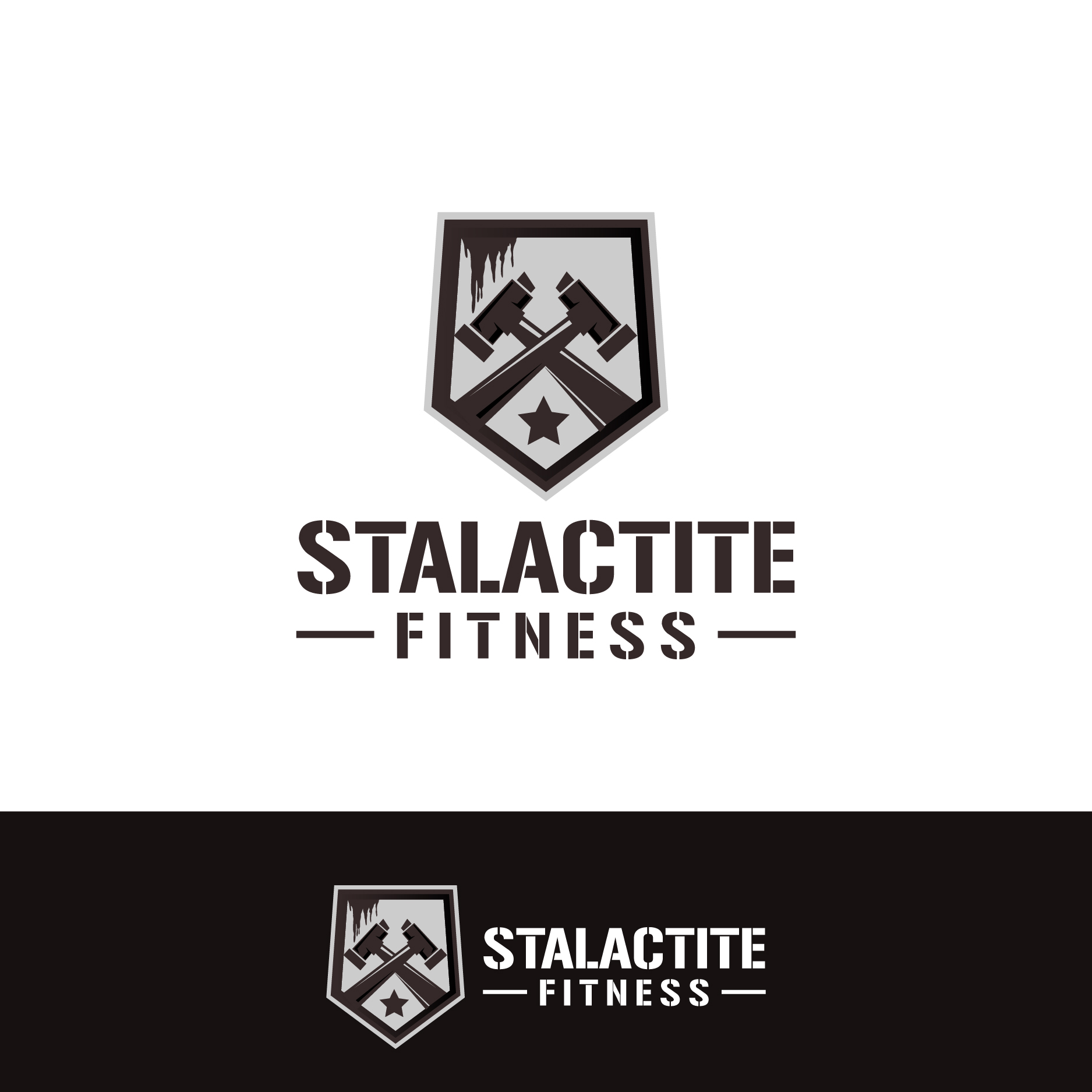 Logo Design by creative.bugs for StoneWater Training LLC | Design #28273465