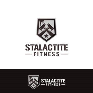 Stalactite Fitness | Logo Design by creative.bugs