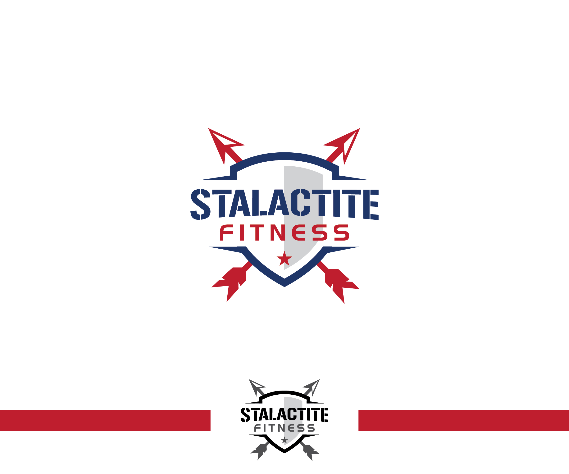 Logo Design by ecorokerz for StoneWater Training LLC | Design #28271970