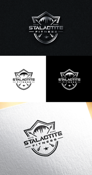 Logo Design by step forward 2 for StoneWater Training LLC | Design: #28273201