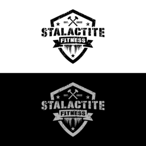 Logo Design by 1975oliverocampo for StoneWater Training LLC | Design: #28273898
