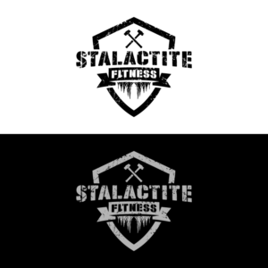 Logo Design by 1975oliverocampo for StoneWater Training LLC | Design: #28275182