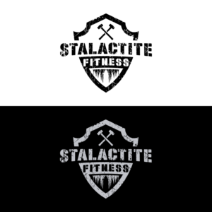 Logo Design by 1975oliverocampo for StoneWater Training LLC | Design: #28276644