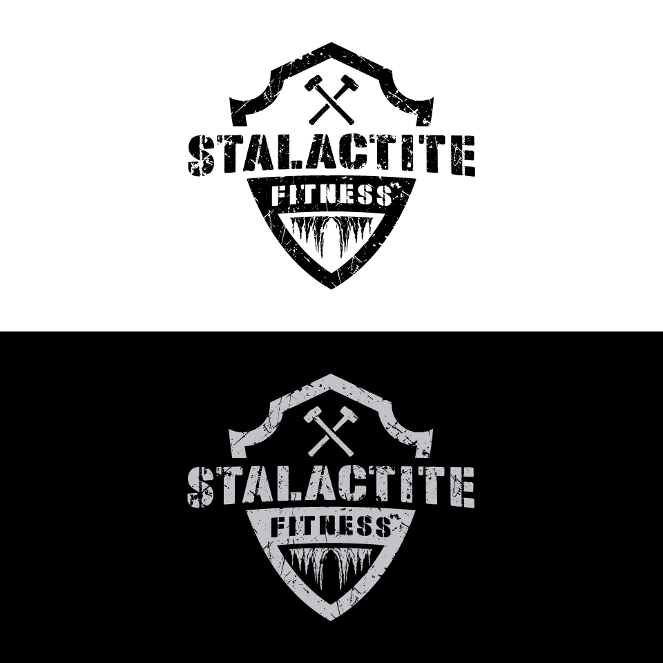Logo Design by 1975oliverocampo for StoneWater Training LLC | Design #28276692