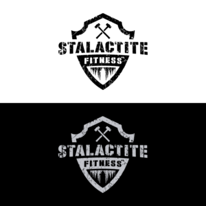 Logo Design by 1975oliverocampo for StoneWater Training LLC | Design: #28276692