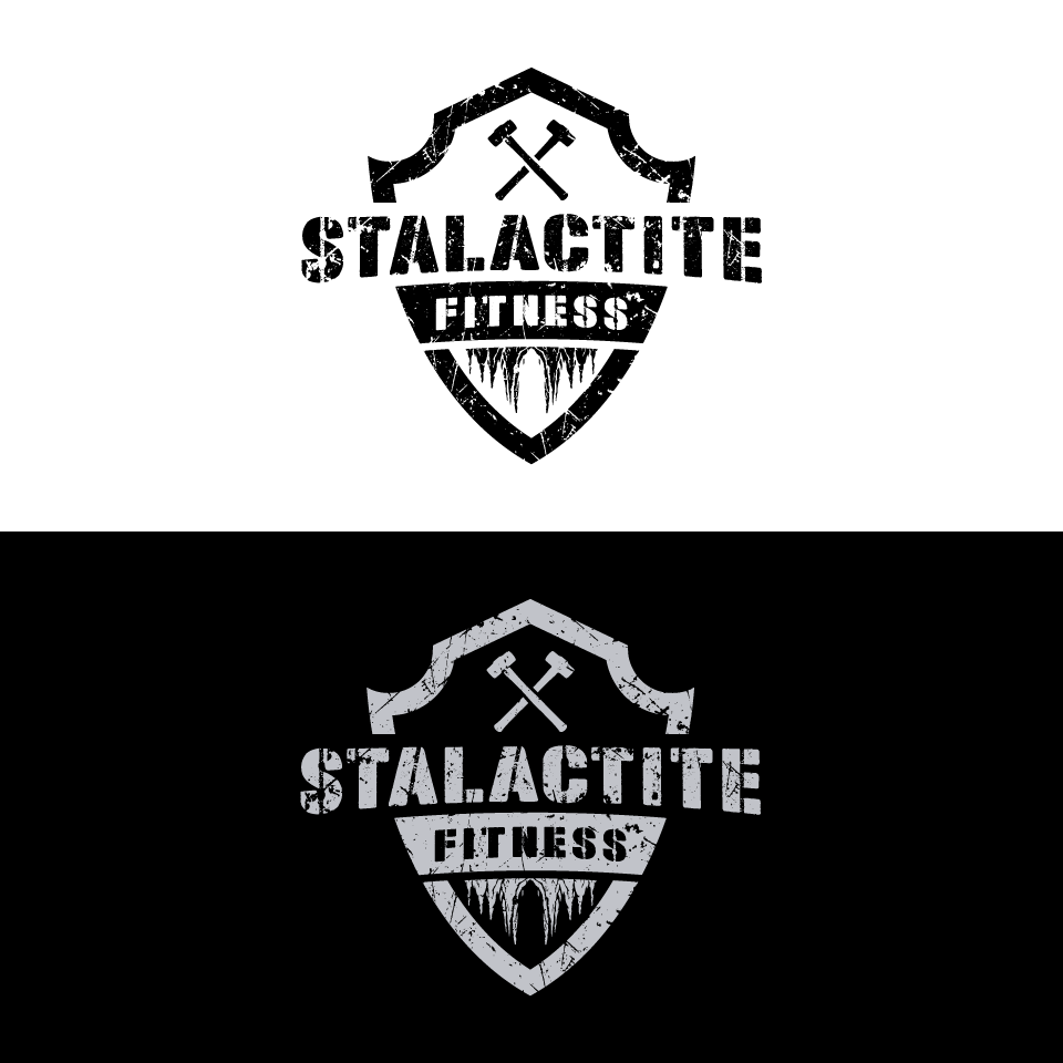 Logo Design by 1975oliverocampo for StoneWater Training LLC | Design #28276712
