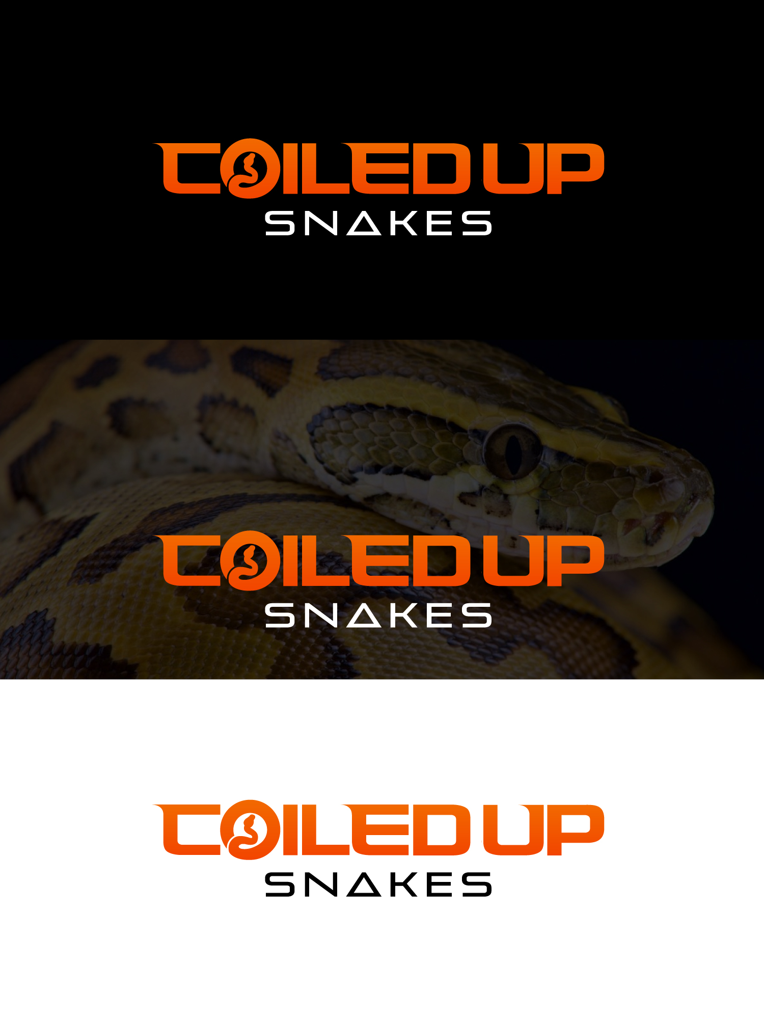 Logo Design by Sergio Coelho for this project | Design #28290450