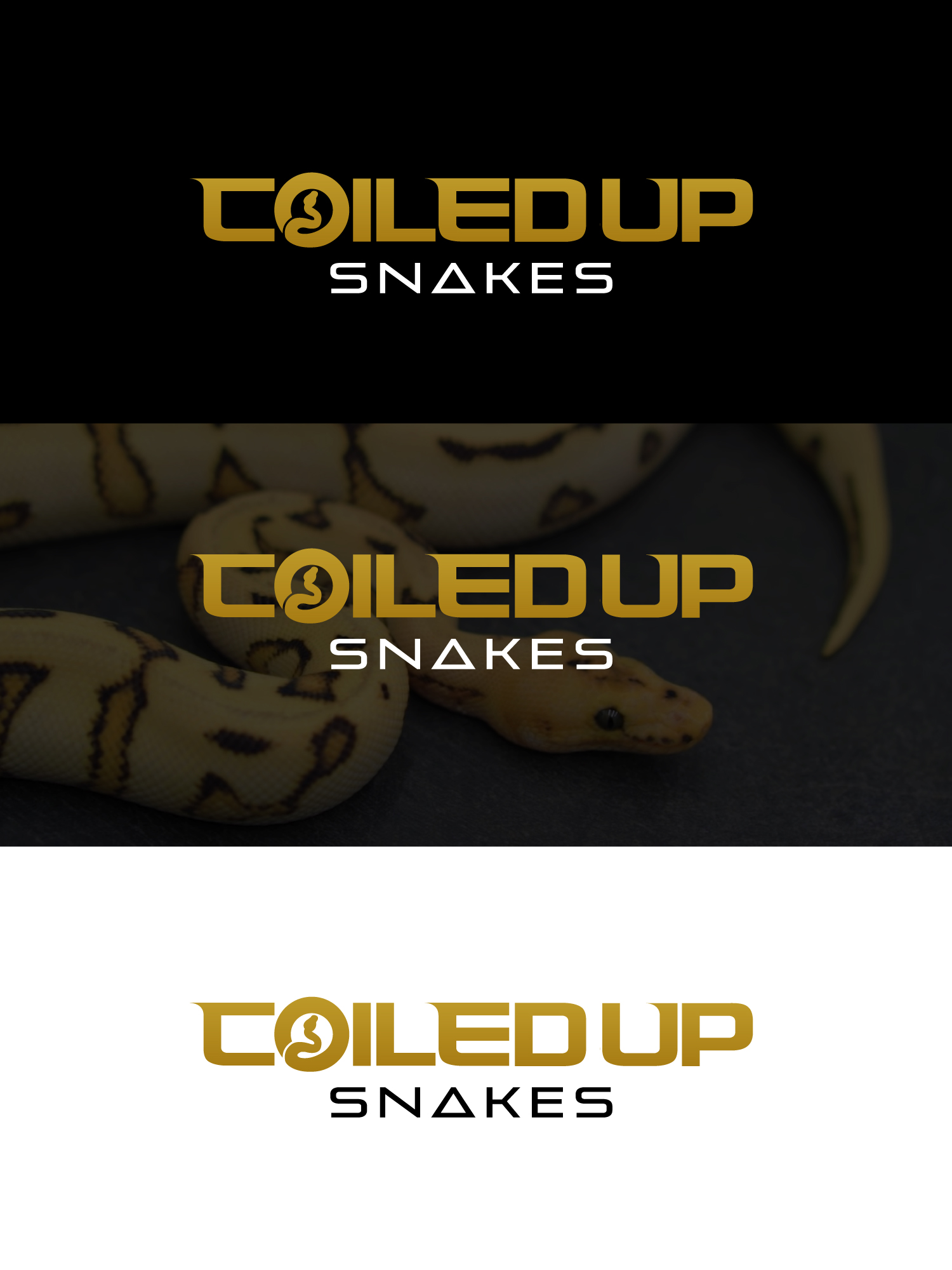 Logo Design by Sergio Coelho for this project | Design #28290452