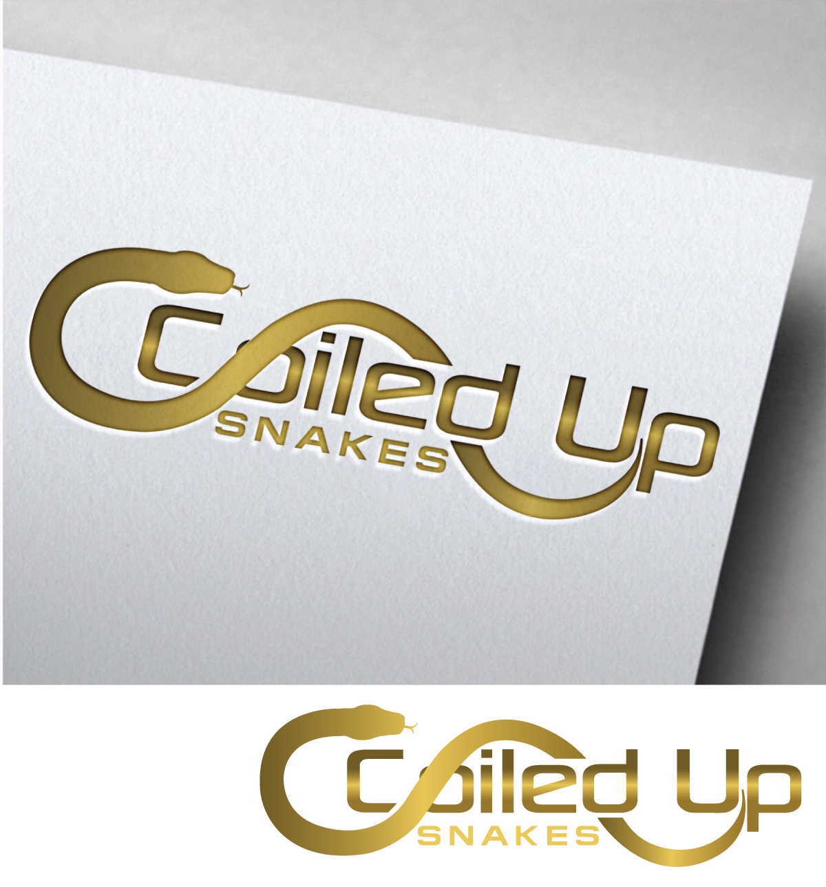 Logo Design by Om Namah Shivay for this project | Design #28283609