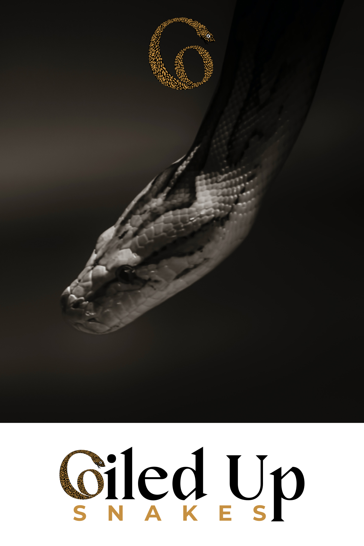 Logo Design by design.bb for this project | Design #28285048