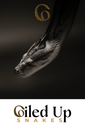 Logo Design by design.bb for this project | Design: #28285048