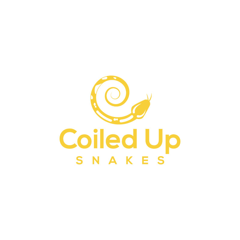 Logo Design by Ansh Design for this project | Design #28278976