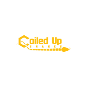 Logo Design by Ansh Design for this project | Design: #28278977